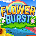 Flower Burst